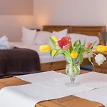 Orlicka Skala Bed & Breakfast Zieleniec (Klodzko)