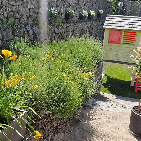 Bed & Breakfast Orlicka Skala Zieleniec (Klodzko)