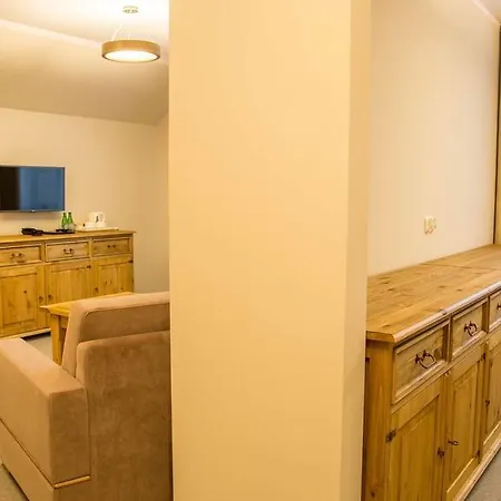 فندق مبيت وإفطار Orlicka Skala