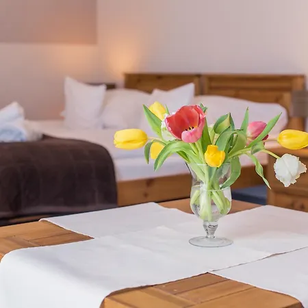 Orlicka Skala Bed & Breakfast Zieleniec (Klodzko)