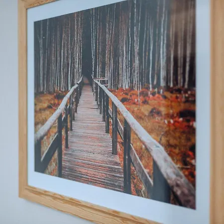 Orlicka Skala 3* Zieleniec (Klodzko)