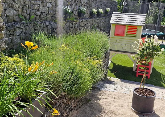 Bed & Breakfast Orlicka Skala Zieleniec (Klodzko)