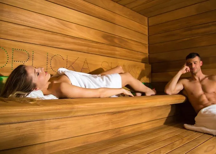 Orlicka Skala Bed & Breakfast 3*