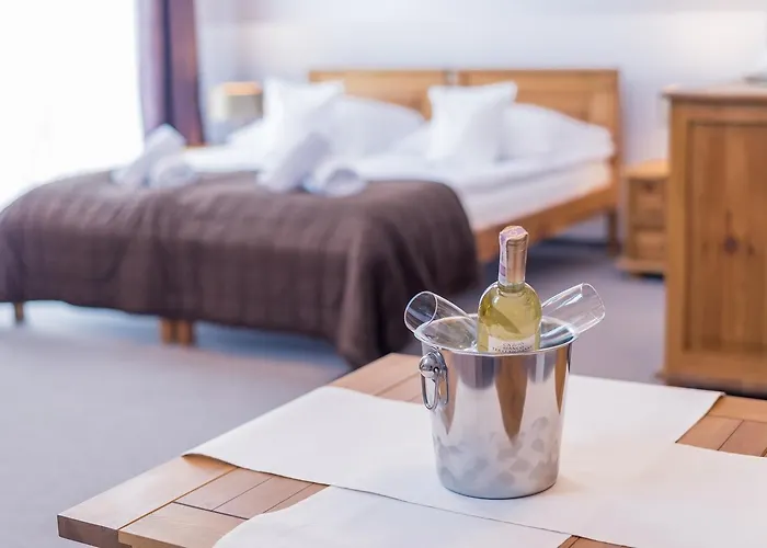 Bed & Breakfast Orlicka Skala Zieleniec (Klodzko)