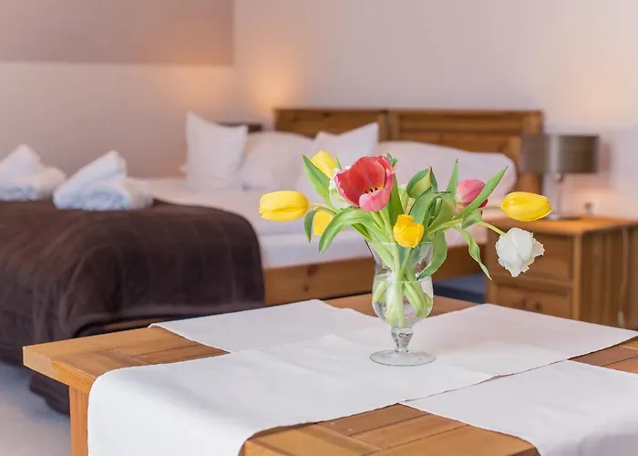 Orlicka Skala Bed & Breakfast Zieleniec (Klodzko)